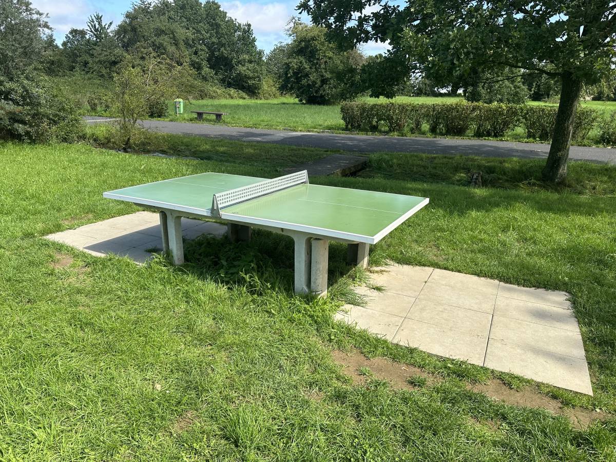 Tischtennis bei Waldstraße