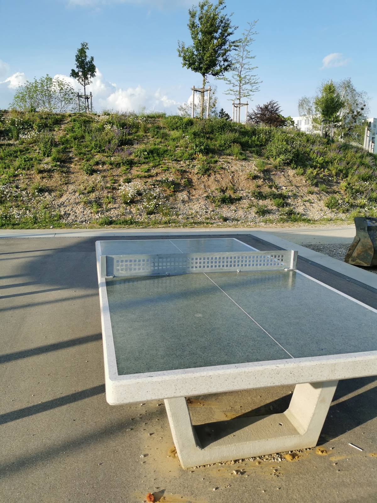 Tischtennis bei Triebstraße