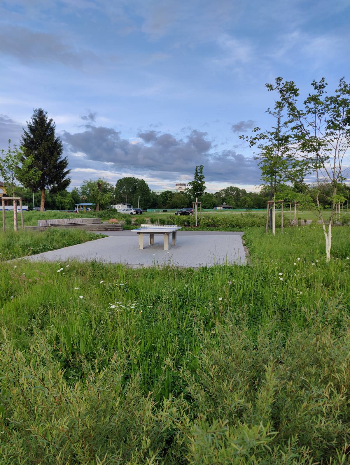 Tischtennis bei Feudenheimer Straße