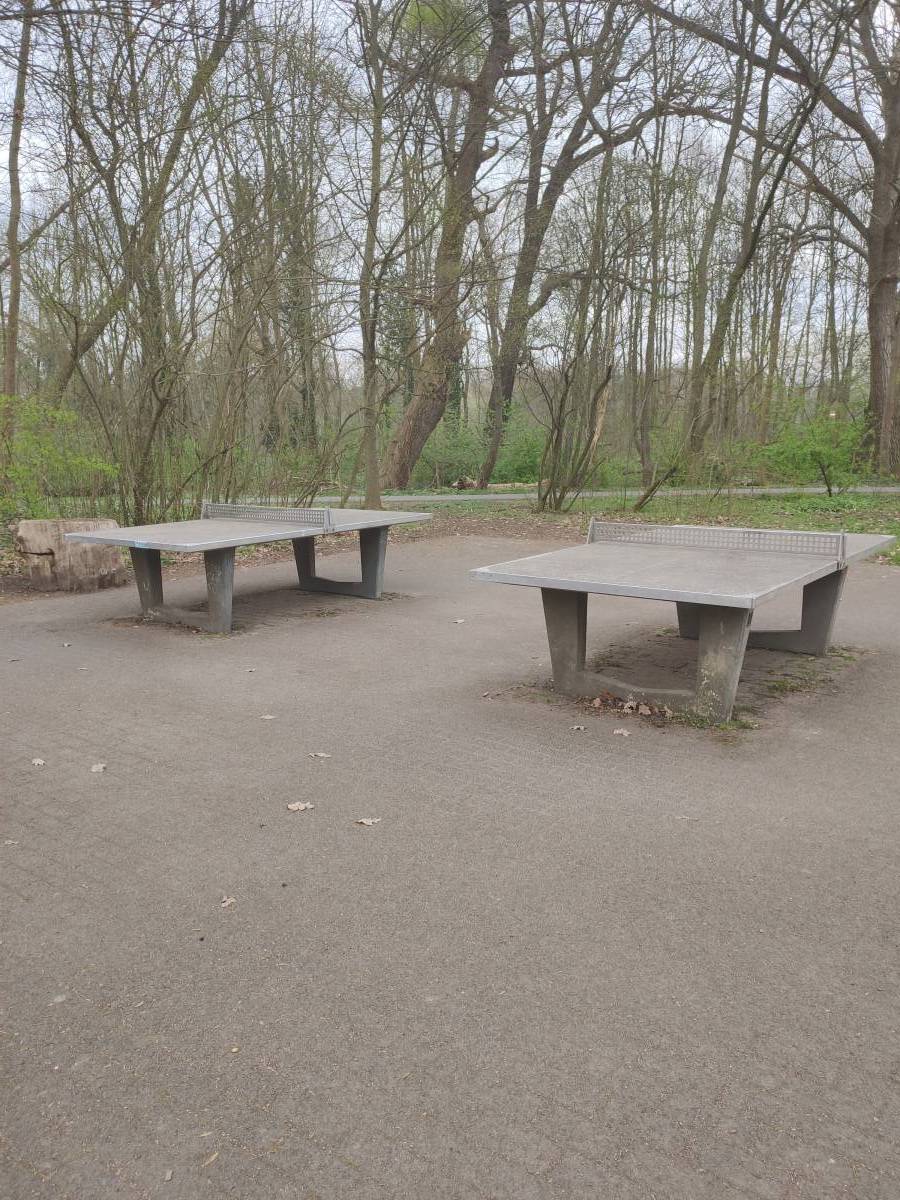 Tischtennis bei Peißnitzinsel