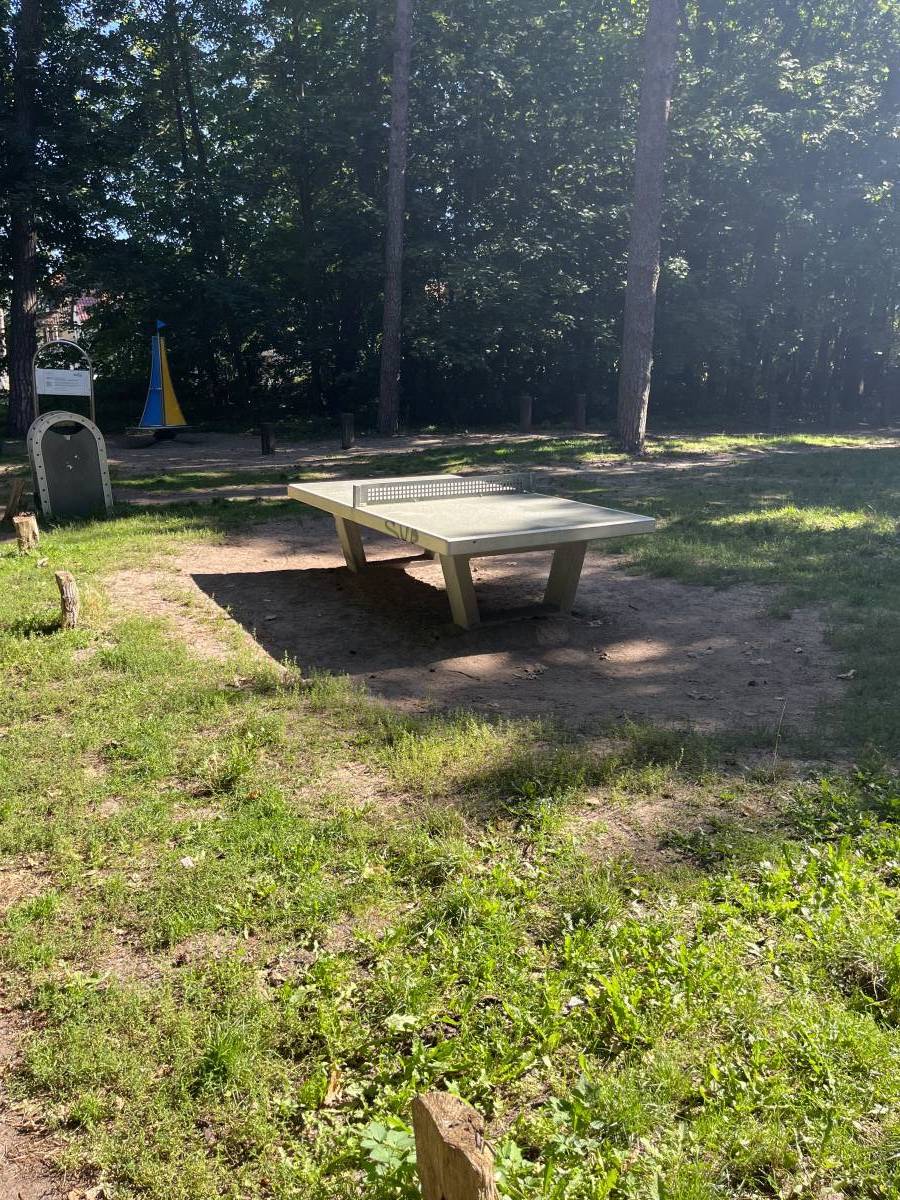 Tischtennis bei Rallenweg