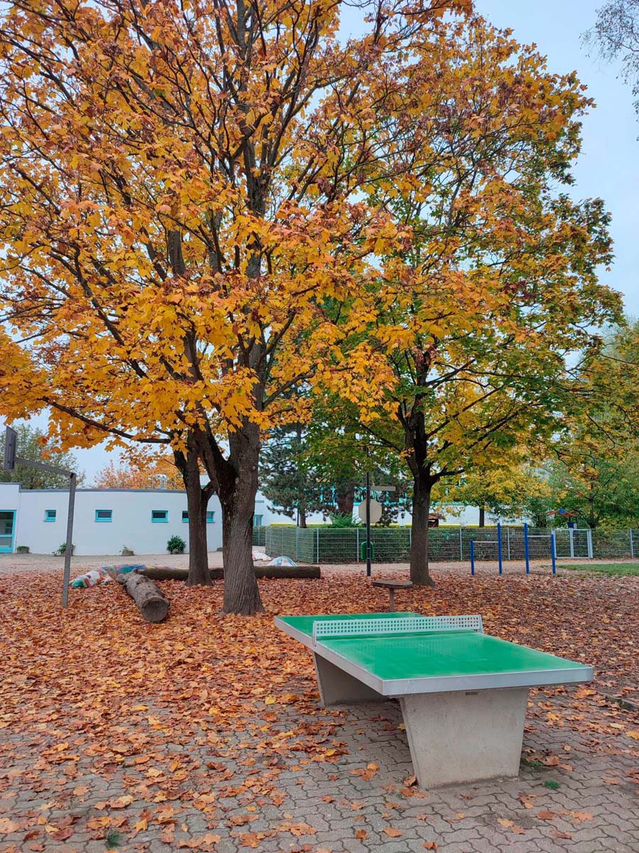Tischtennis bei Lyonel-Feininger-Weg
