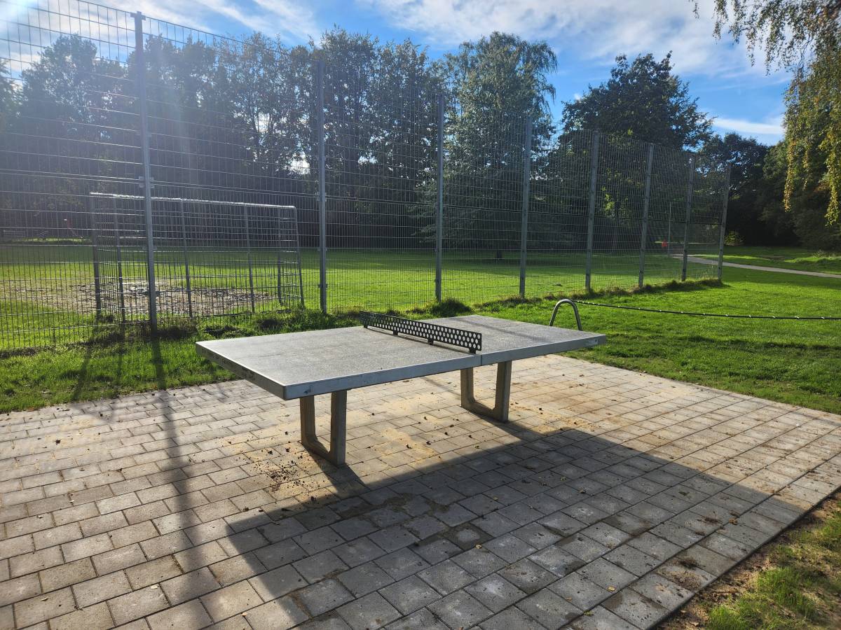 Tischtennis bei Theodor-Haubach-Straße
