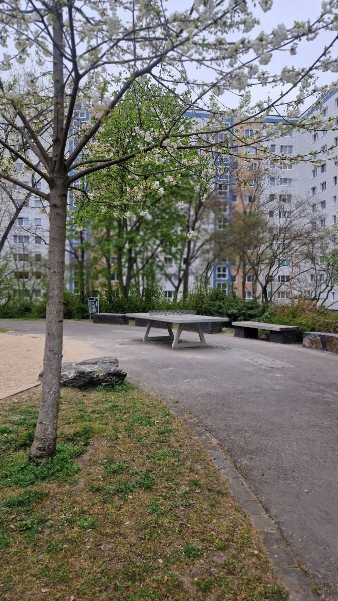 Tischtennis bei Paul-Junius-Straße