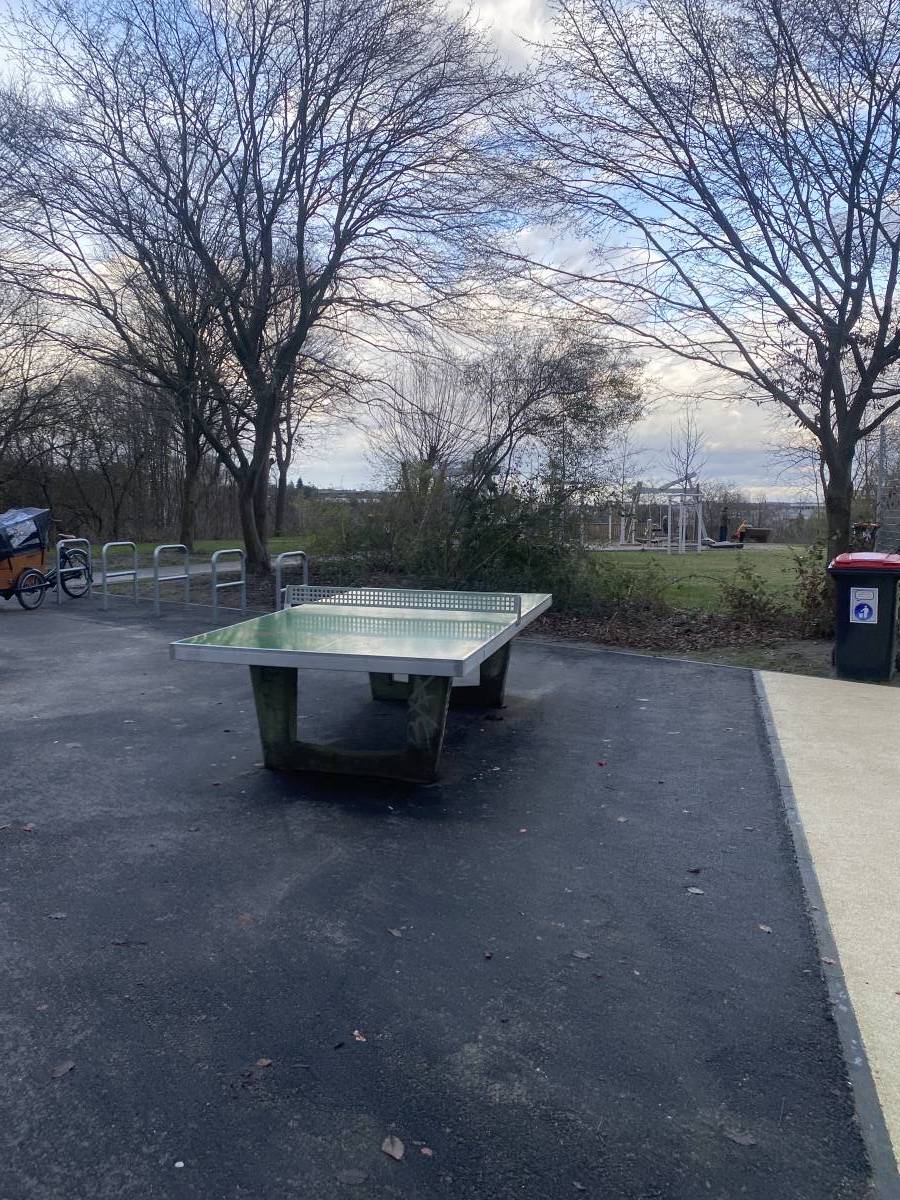 Tischtennis bei Am Kreideberg