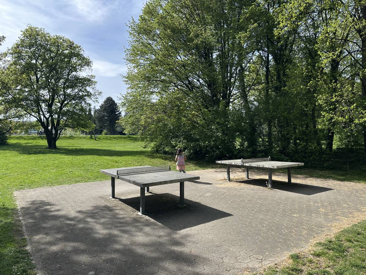 Tischtennis bei Trimm Dich