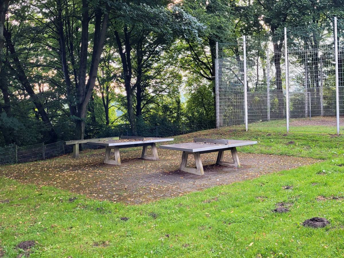 Tischtennis bei Am Pannesbusch
