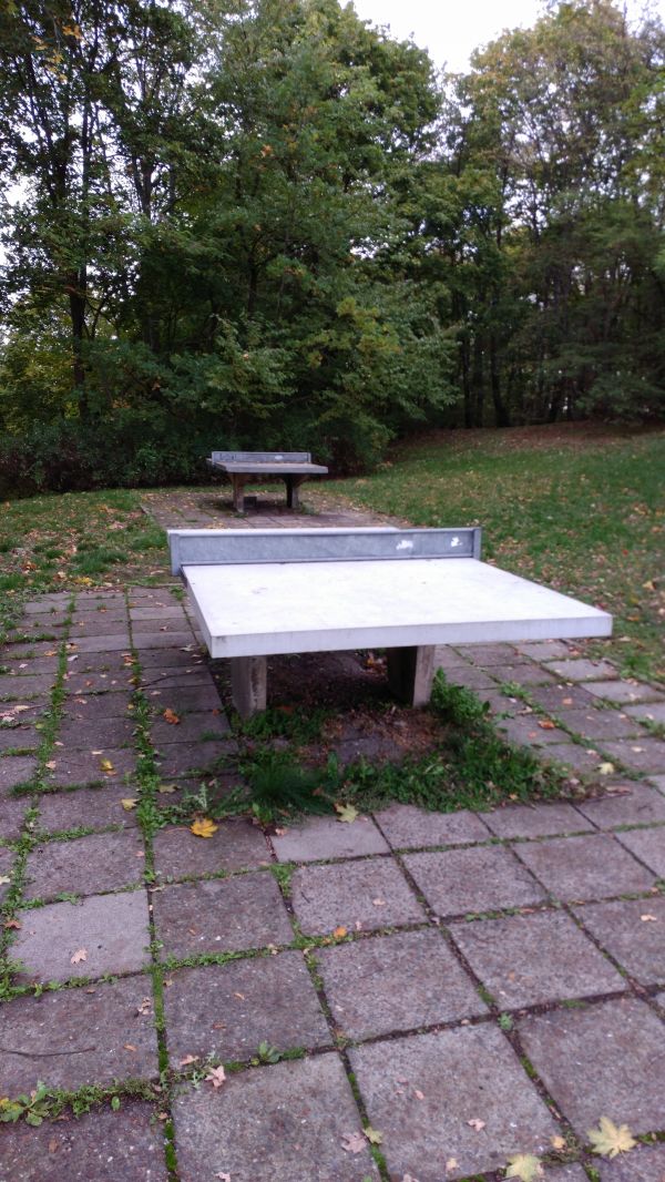 Tischtennis bei Am Bärenstein 8