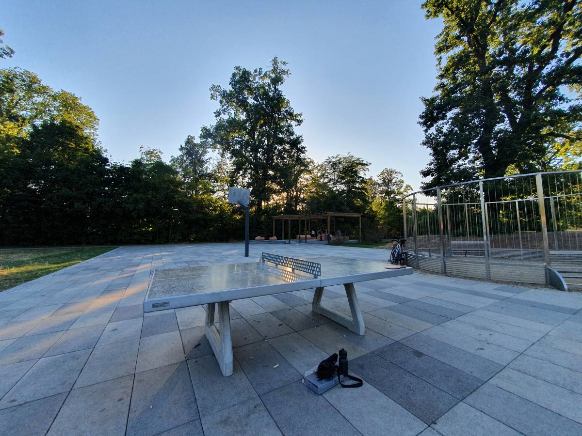 Tischtennis bei Bad Langesalza-Platz