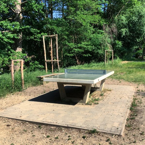 Tischtennis bei Tischtennisplatte #11134