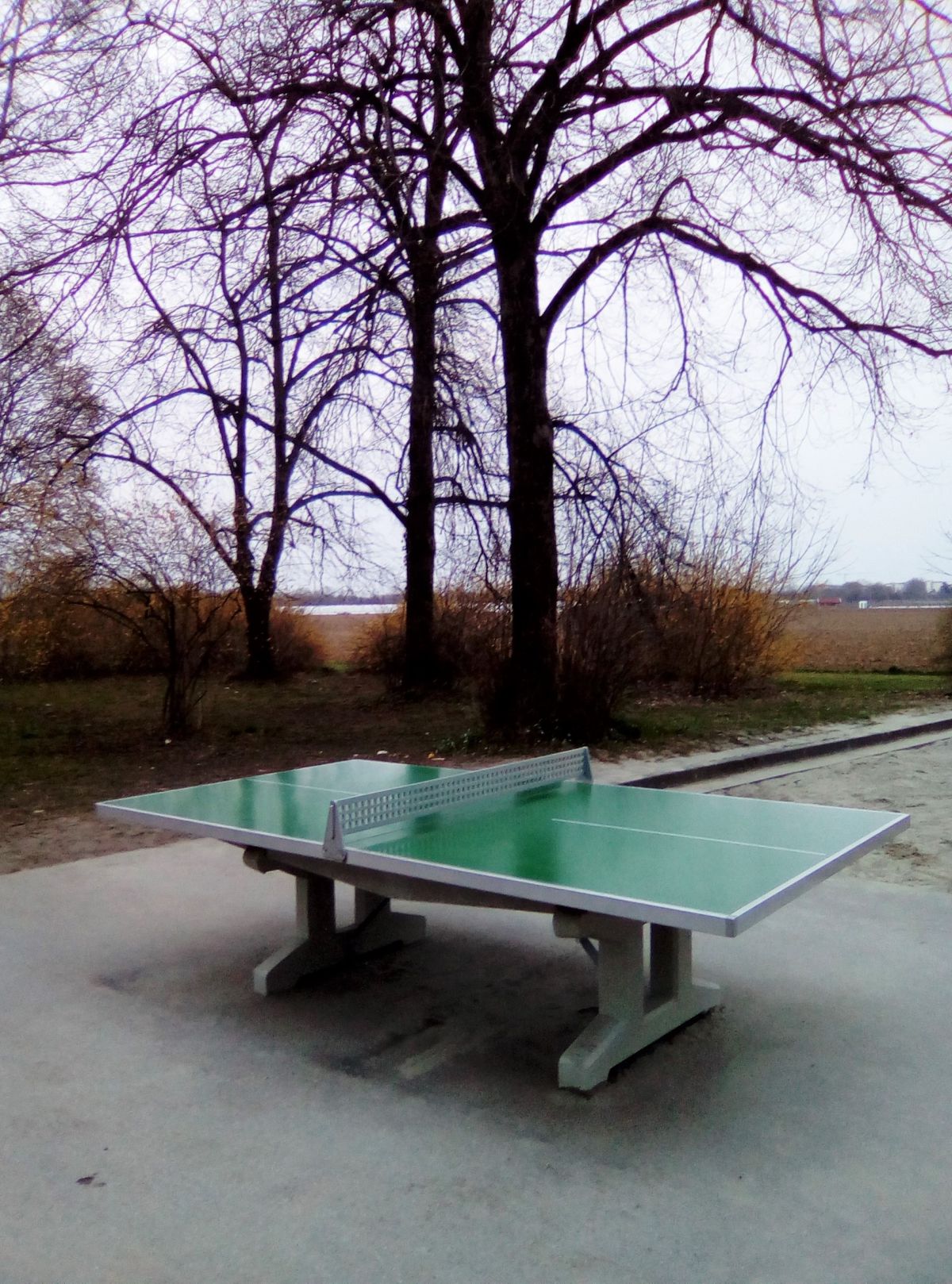 Tischtennis bei Perlschneiderstraße