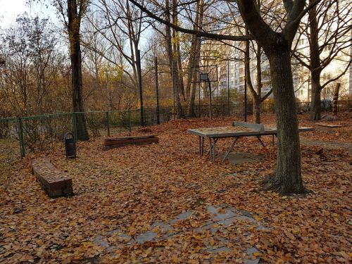 Tischtennis bei Dolgenseestraße 22