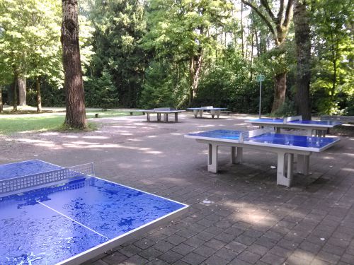 Tischtennis bei Mittenwalder Straße 31