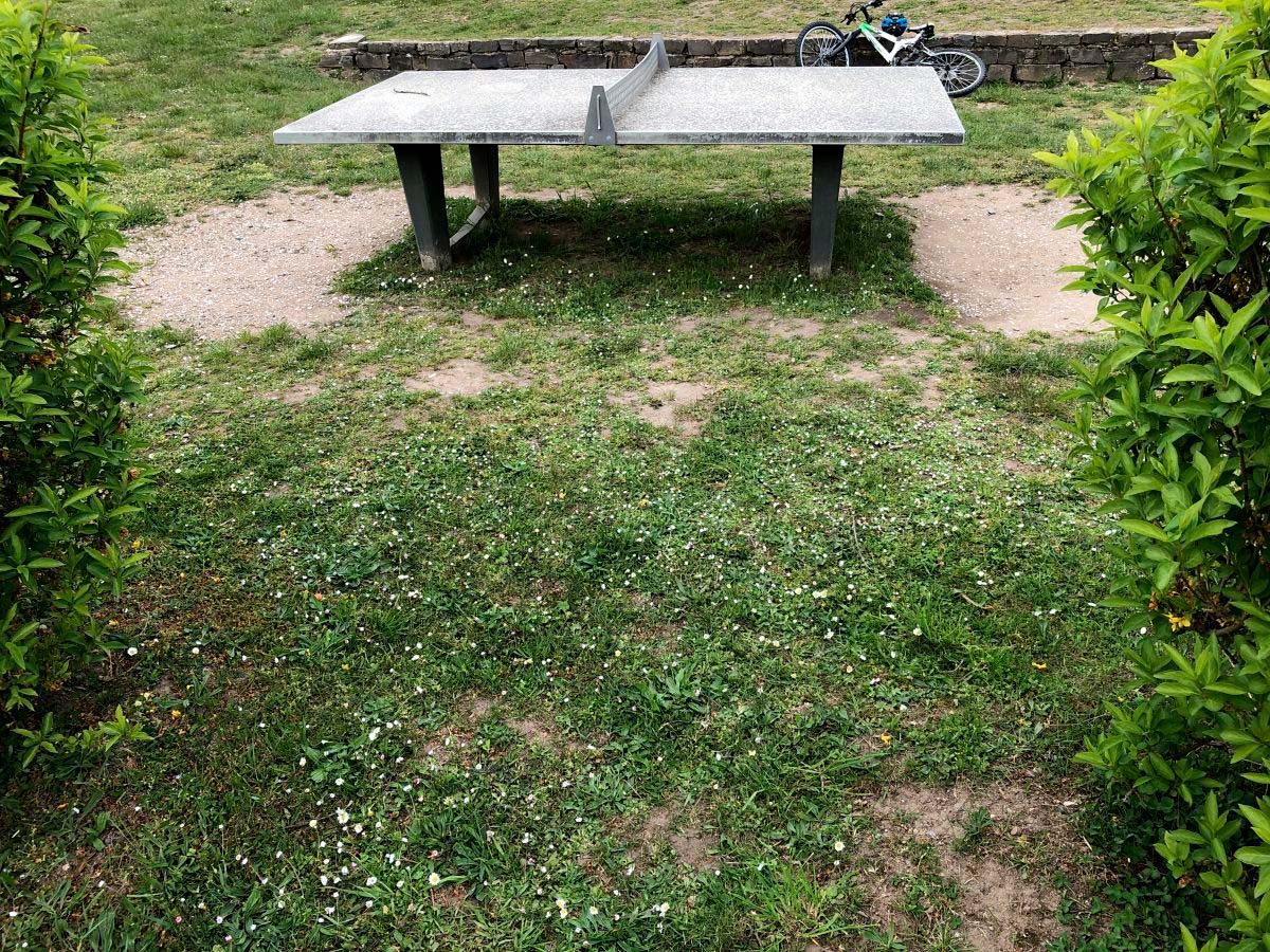 Tischtennis bei Backesweg