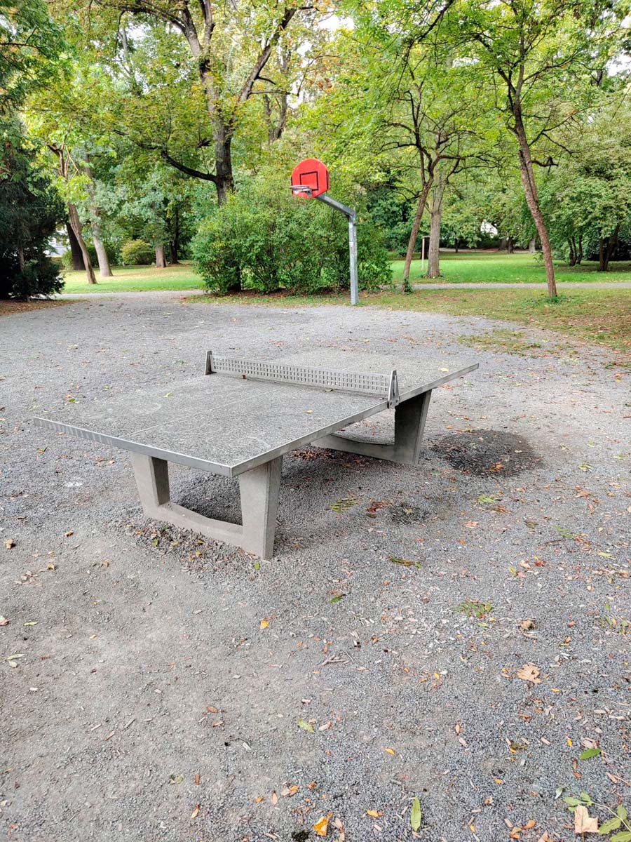 Tischtennis bei Haugerring