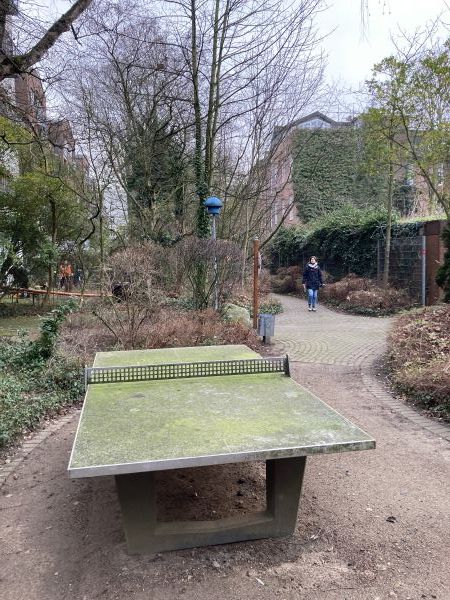 Tischtennis bei Max-Brauer-Allee 164