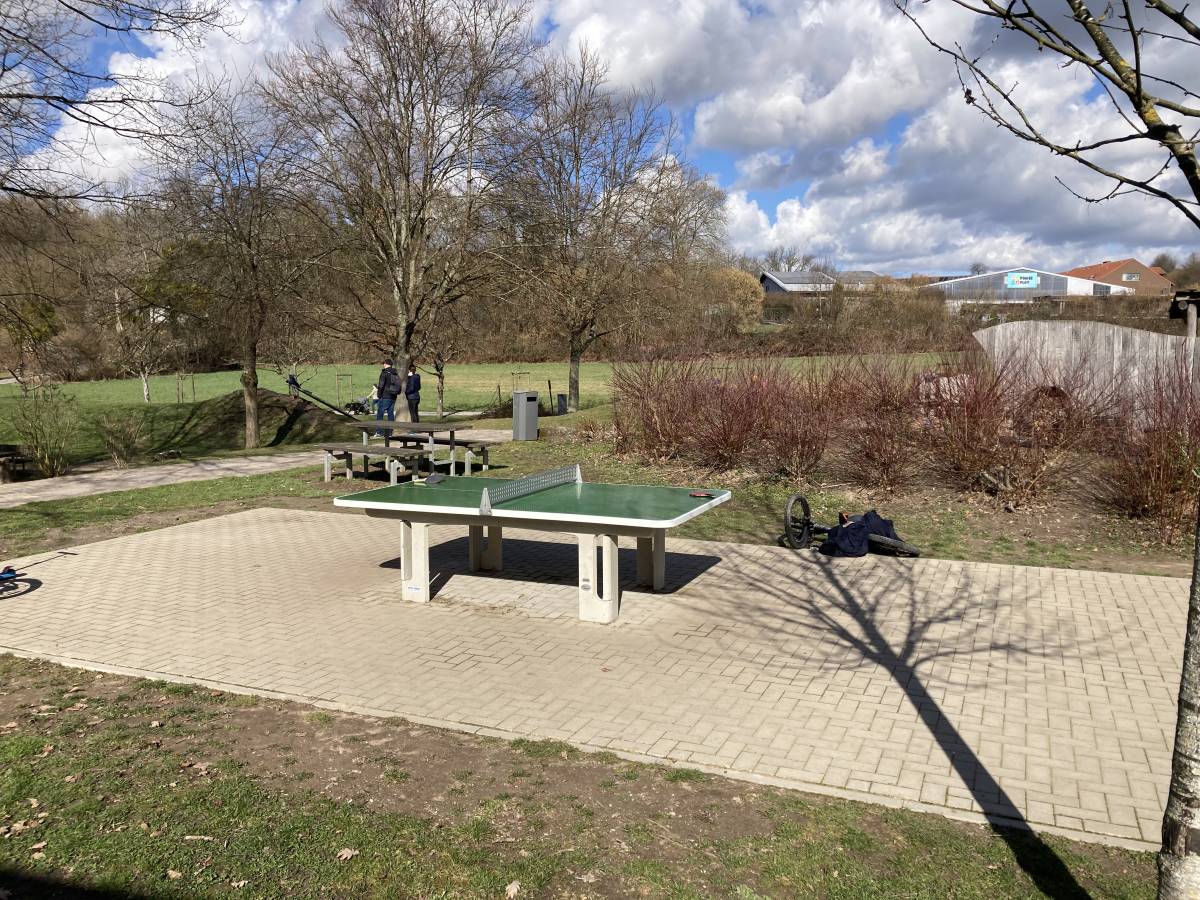 Tischtennis bei Weihrichweg