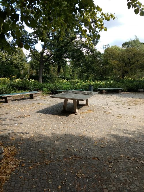 Tischtennis bei Berlin