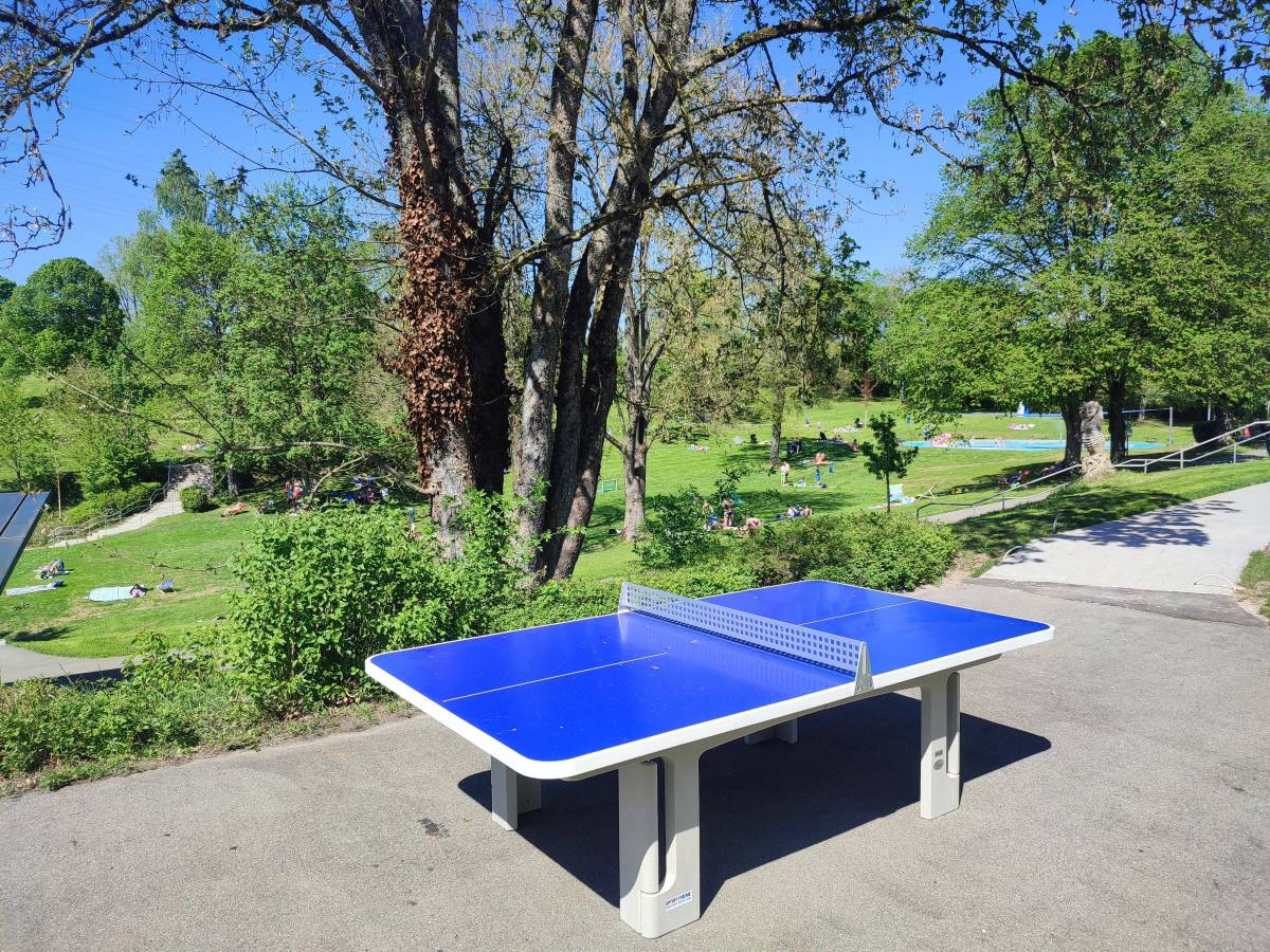 Tischtennis bei Weingartenberg
