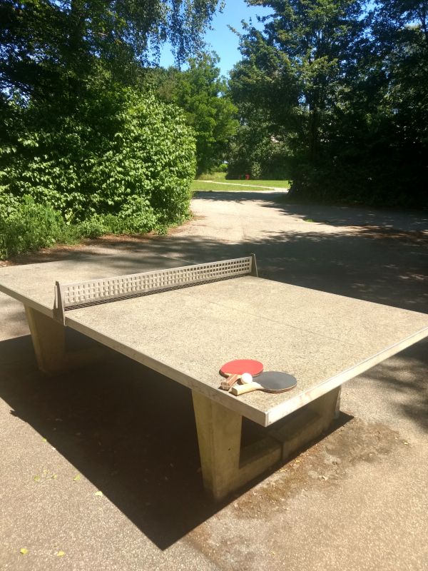 Tischtennis bei Högenredder