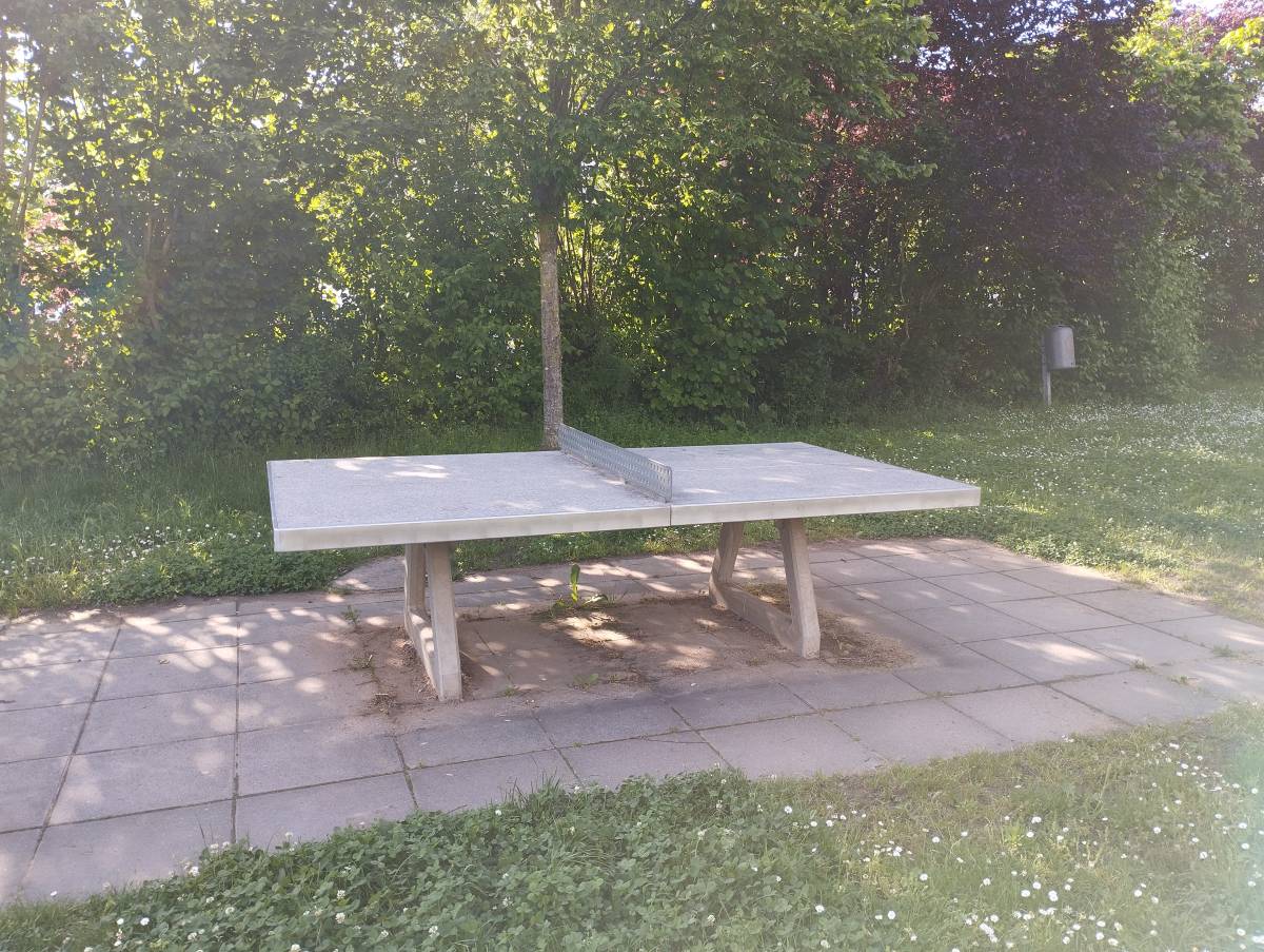 Tischtennis bei An den Mainwiesen