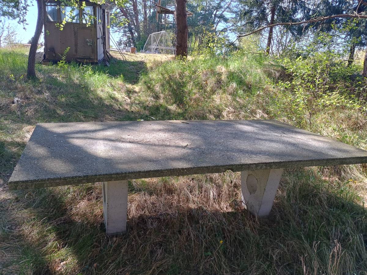 Tischtennis bei Am Mühlenberg
