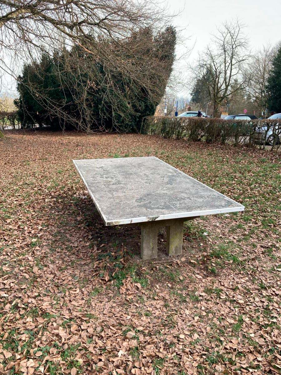 Tischtennis bei Posseltsweg