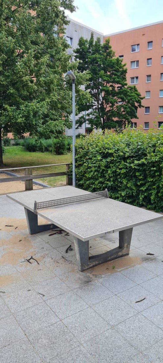 Tischtennis bei Oschatzer Ring