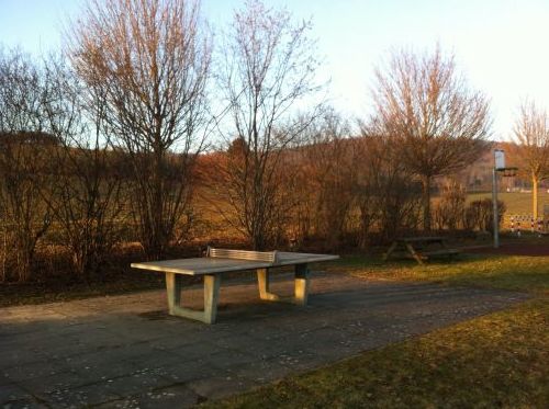 Tischtennis bei Bartenhauerweg 9