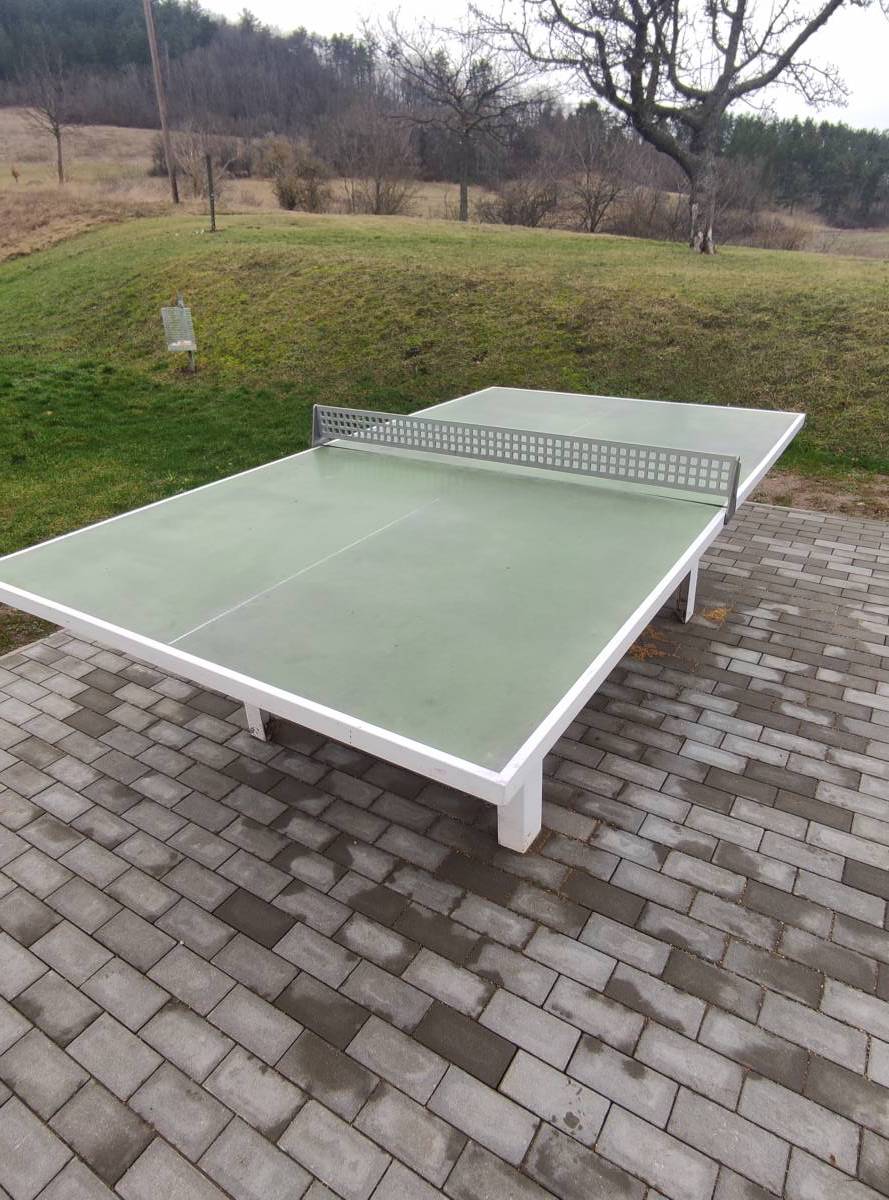 Tischtennis bei Am Burgrain