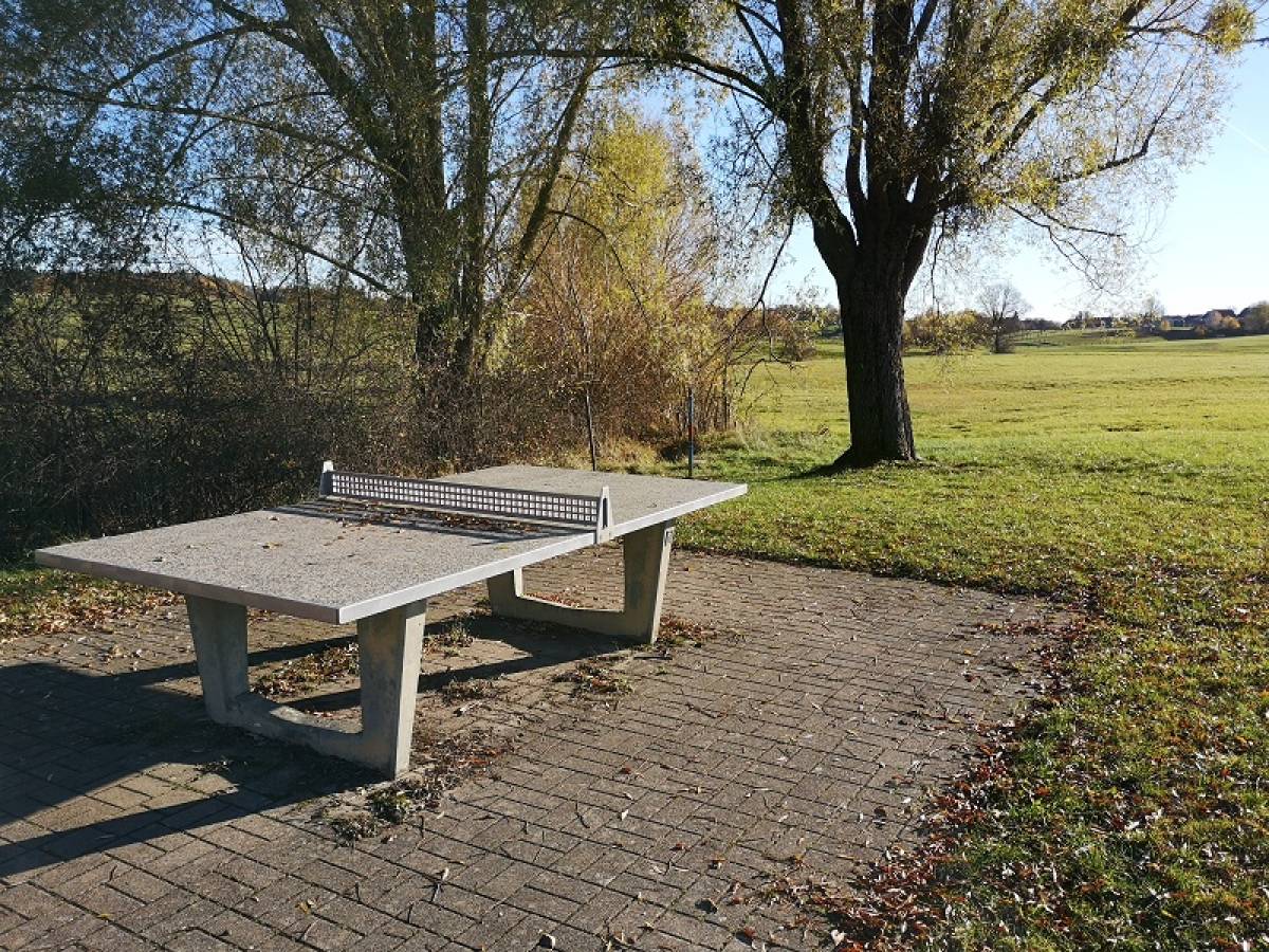 Tischtennis bei Seewiesenweg