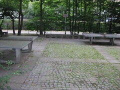 Tischtennis bei Berlin
