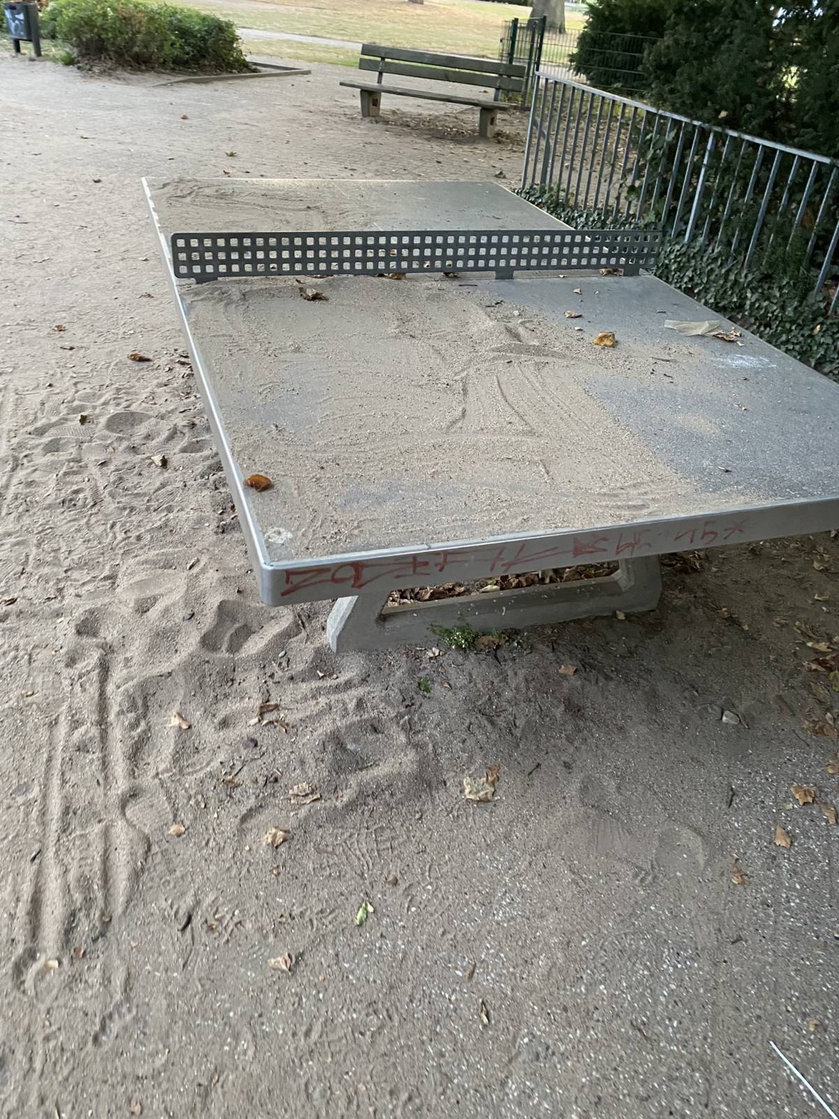 Tischtennis bei Luisental 11