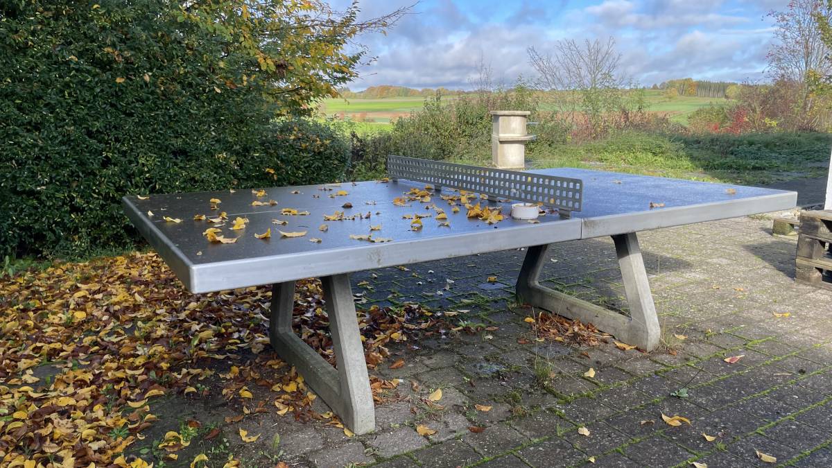 Tischtennis bei Am Berg