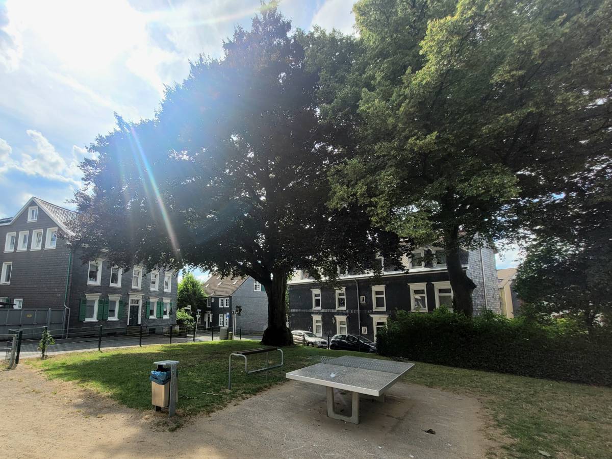 Tischtennis bei Beyeröhde