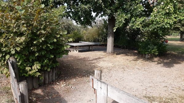 Tischtennis bei Claudiusweg