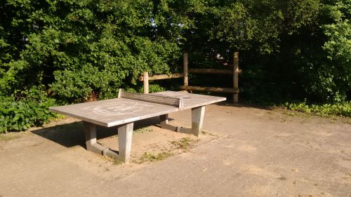 Tischtennis bei Lütjenmoor 13