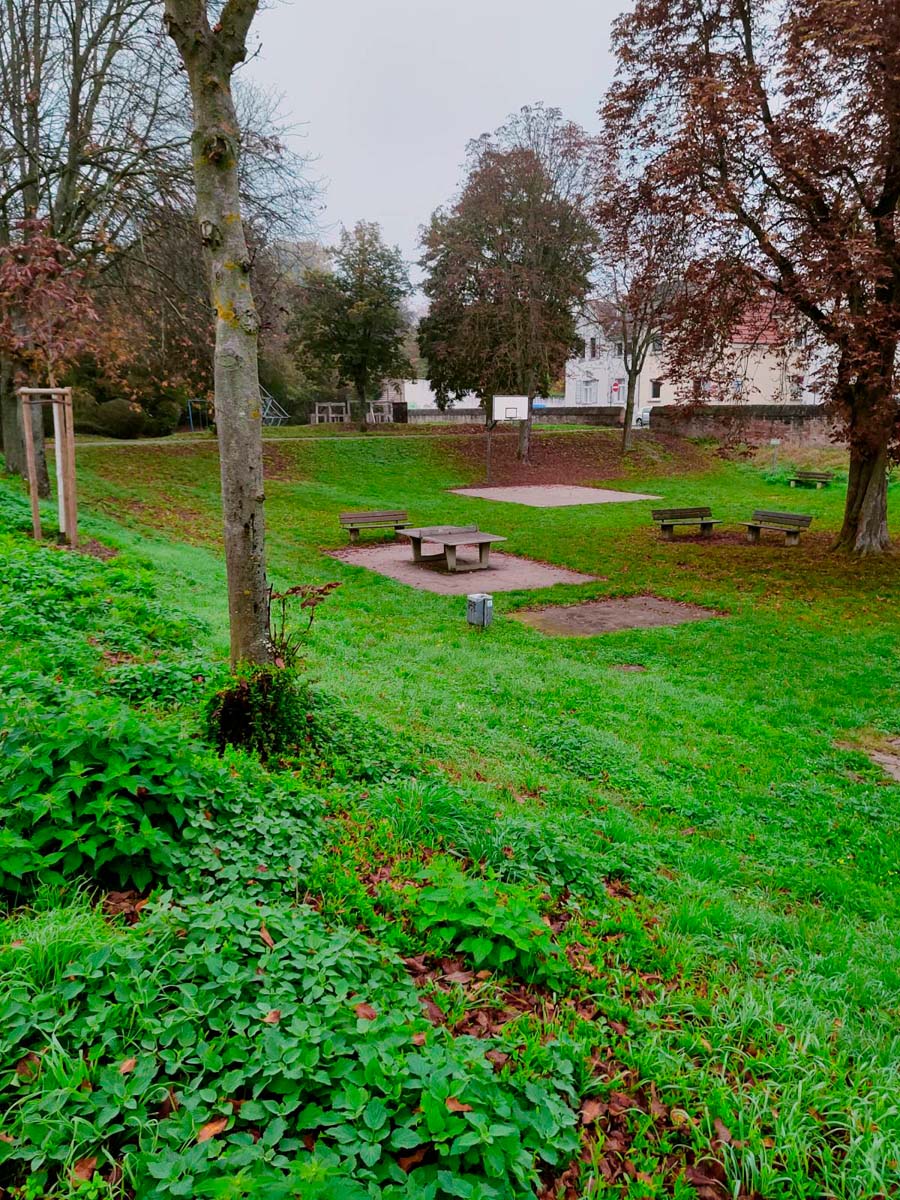Tischtennis bei Eselsdamm
