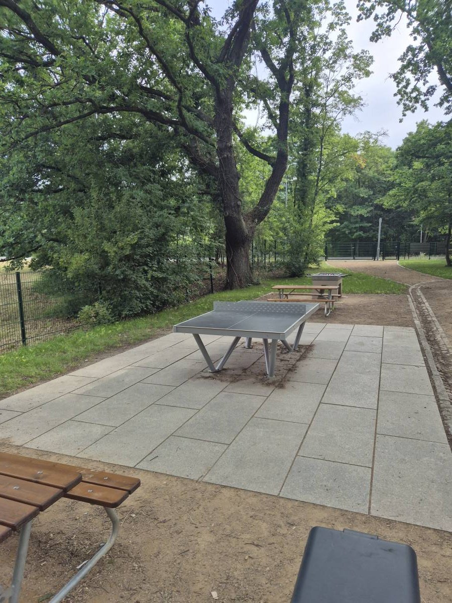 Tischtennis bei Pillnitzer Landstraße