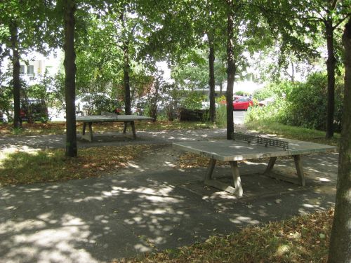 Tischtennis bei Wiecker Straße 7
