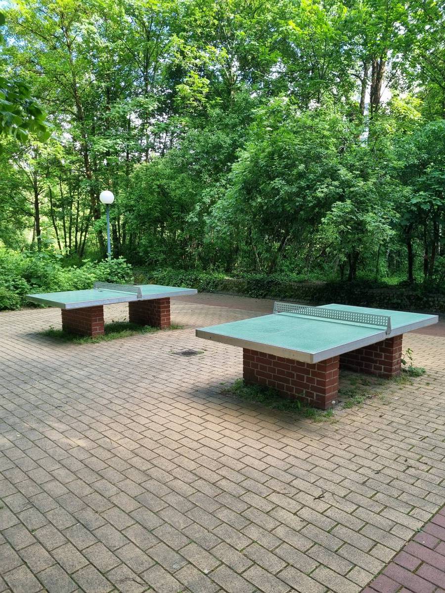 Tischtennis bei Helene-Mayer-Ring