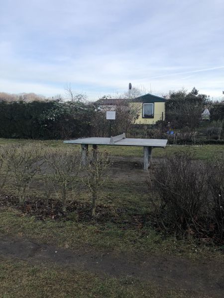 Tischtennis bei Mittelweg