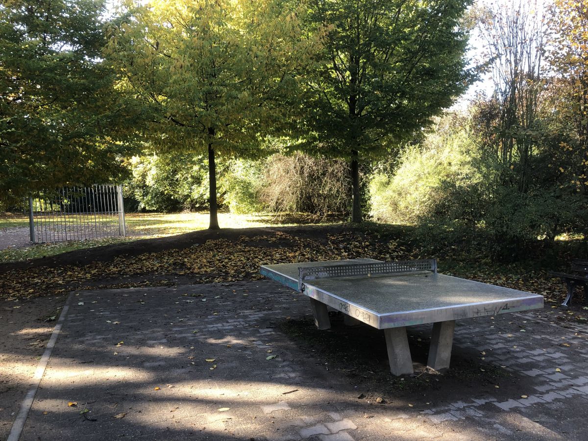Tischtennis bei Praunheimer Weg 86