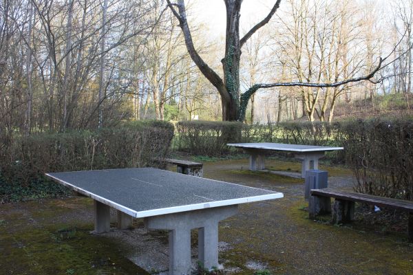 Tischtennis bei Terofalstraße 13