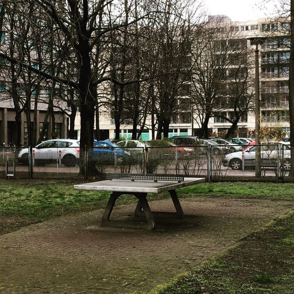 Tischtennis bei Fischerinsel