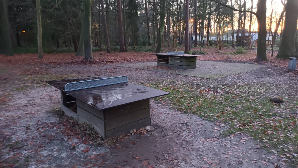 Tischtennis bei Bürgerbuschweg
