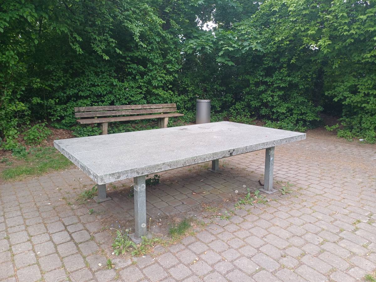 Tischtennis bei Salzmannstraße