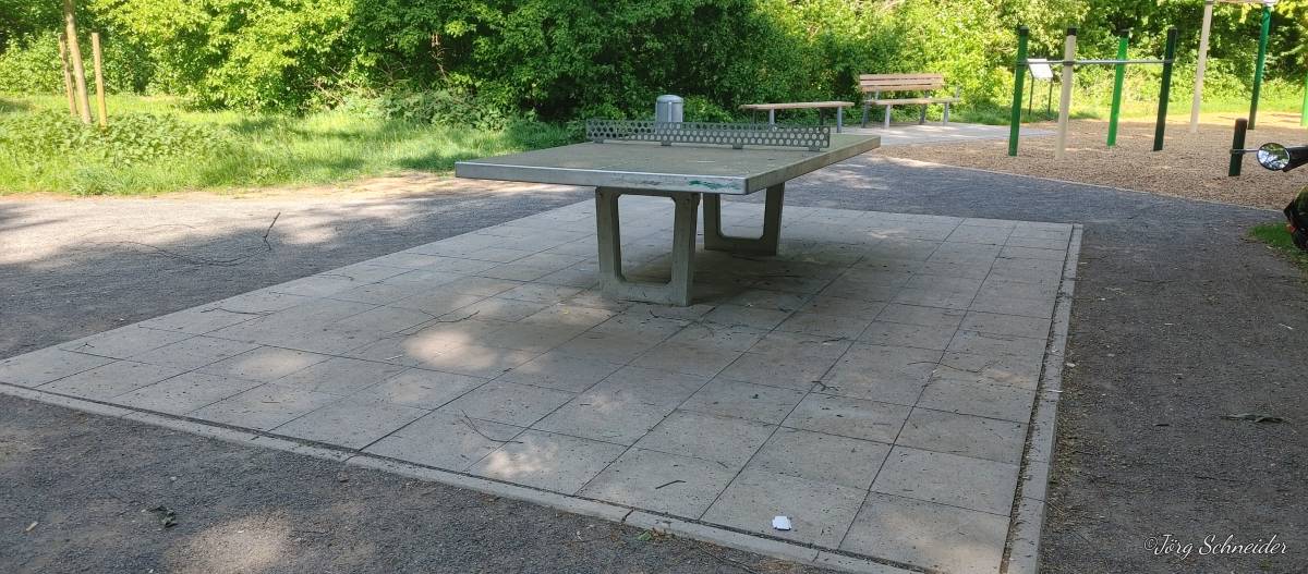 Tischtennis bei Gemeindeholzstraße