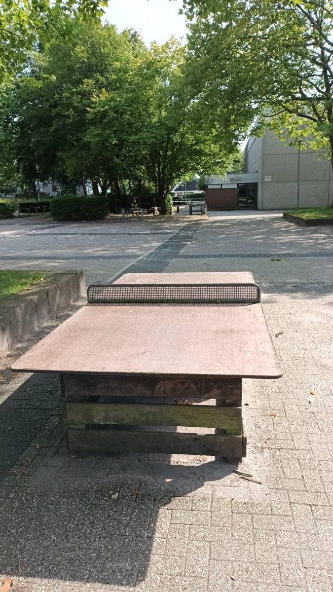 Tischtennis bei Brandsweg
