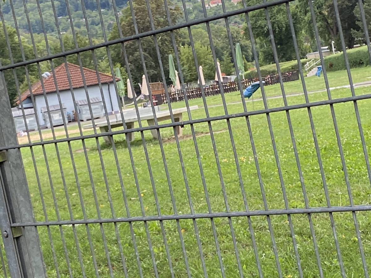 Tischtennis bei Jenzigweg